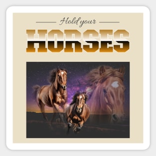 Hold Your Horses - Horse Lover Sticker